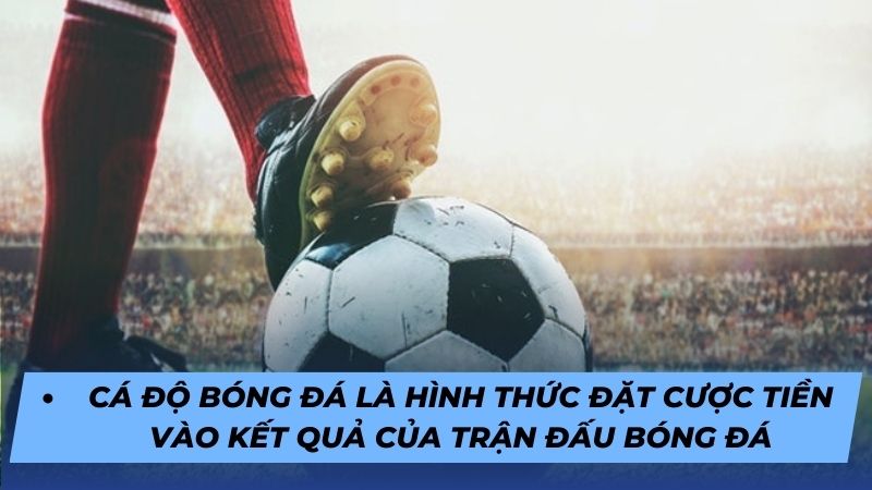 Cá độ bóng đá là dự đoán kết quả trận đấu bằng tiền dựa trên phân tích chuyên môn.